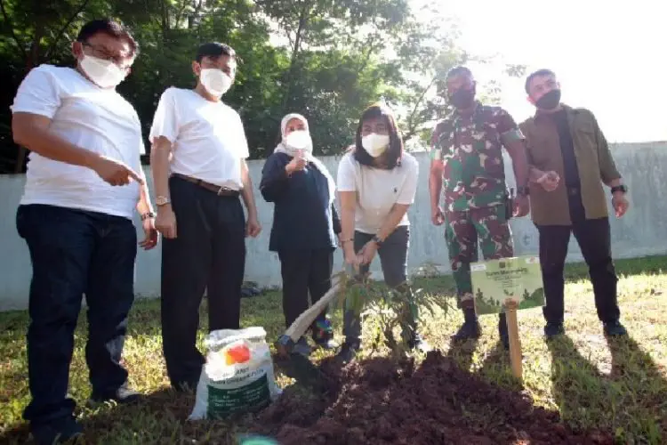 FIFGROUP Hijaukan Bumi