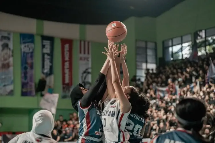 Honda DBL